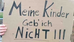 Friedensdemonstration  der Kaiserpfalz in Goslar: Kritik an FDP-Politikerin und Journalisten, die nicht neutral berichten