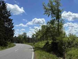 Zwei schwere Verkehrsunfälle auf der Bundesstraße 4