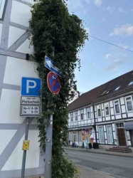 Bad Gandersheimer Hopfentore: Eine grüne Idee wächst sich nicht aus... Nur bei Arne!