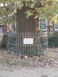 Ackenhausen: Fleißeinsatz von 13 Helferinnen und Helfern für sauberes Dorf - Ortsvorsteher Michael Goslar sagt