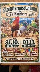 Große Kleintierausstellung in Harriehausen: Besonders für Familien mit Kids attraktiv!