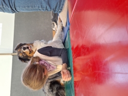 Ein Hund ist kein Spielzeug – Kinder lernen Verantwortung im Umgang mit Hunden - Aktion der Bad Gandersheimer Stadtjugendpflege kam gut an!