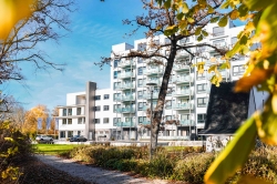 After-Work am 5. November 2026 im Gandersheimer Boardinghouse wird abgesagt - Ein Lichtschein für Hannelore Kükemück
